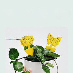 Acheter INF Lot de 100 pièges collants épais jaunes en forme de lotus pour la protection des plantes