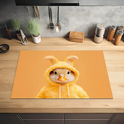 Accessoires four & table de cuisson