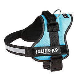 Julius-K9, 162AM0, Powerharness, Taille: 0, Aquamarine