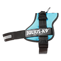 Julius-K9, 162AM-3, K9-Powergeschirr, Größe: 3, Aquamarine