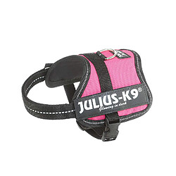 Trixie Julius/K9 Power Harnais pour Chien, x-Small-Parent