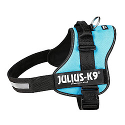 Julius-K9, 162AM-3, K9-Powergeschirr, Größe: 3, Aquamarine