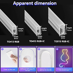 INF Ruban Lumineux Néon LED RGBIC 10M - Prise EU, Silicone Flexible, Contrôle à Distance & Blu
