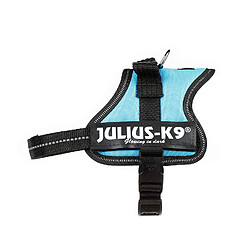 Julius-K9, 162AM-MM, Powerharness, Mini-Mini, Aigue-marine
