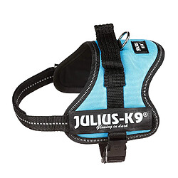 Julius-K9, 162AM-MM, Powerharness, Mini-Mini, Aigue-marine