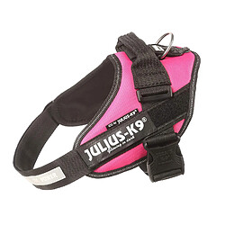 Julius-K9 IDC-Power Harnais pour Chien Rose Fuchsia Foncé Taille 0