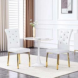 Pugsdrly Lot de 2 chaises de salle à manger - Pieds en métal - Blanc