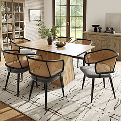 Merax 6 Chaises De Table-avec Dossier En Rotin-coussins D'assise En Velours-salons Et Cafés-gris