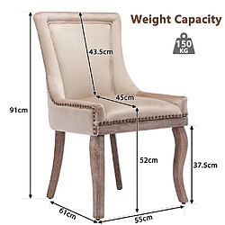 Pugsdrly Chaises de salle à manger - Lot de 2 - Revêtement en velours pas cher