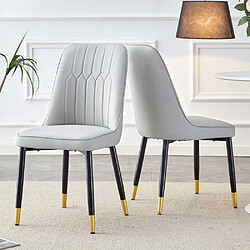Pugsdrly Chaises - Lot de 2 - Gris - Dossier haut - Pieds en métal
