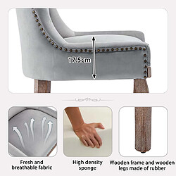 Pugsdrly Chaises de salle à manger - Lot de 2 - Pieds en bois massif