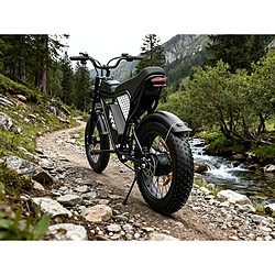 Avis Ridstar Vélo électrique YVY Q20 - Moteur 1500W - Batterie Amovible 15Ah - Autonomie 90 km - Shimano