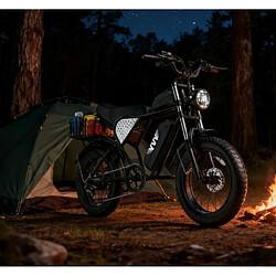 Acheter Ridstar Vélo Électrique YVY Q20 - Moteur 1500W - Batterie Amovible 48V 20Ah - Autonomie 90km - Roue