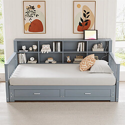 Avis Pugsdrly Canapé-lit extensible - Bois massif - 90/180x190 cm - Gris