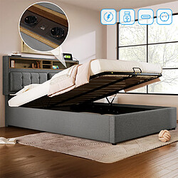 Pugsdrly Lit coffre 160x200 cm avec port USB et hydraulique, Gris