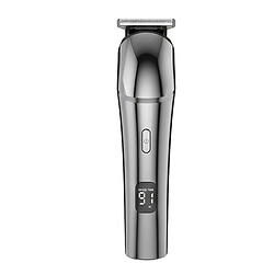 Avizar Tondeuse Cheveux Sans Fil 5W Étanche Rechargeable avec écran LED Argent