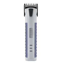 Avizar Tondeuse Cheveux Sans Fil 3W Rechargeable Compacte Gris