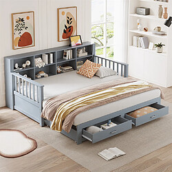 Pugsdrly Canapé-lit extensible - Bois massif - 90/180x190 cm - Gris