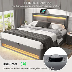 Pugsdrly Structure de lit double 140 x 200 cm - Avec ports USB - Gris