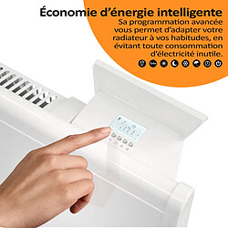 Radiateur à inertie