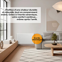 Radiateur électrique à inertie sèche Mara 2000 W HJM pas cher