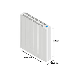Acheter Radiateur électrique à inertie fluide IRINAII 1000 W HJM, Blanc