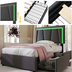 Pugsdrly Lit adulte rembourré 90x200 cm avec tiroirs et LED - Gris