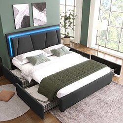 Pugsdrly Lit adulte rembourré 140x200 cm avec tiroirs et LED - Gris