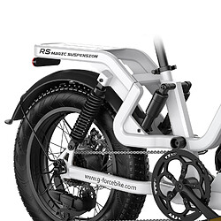 Acheter G-FORCE RS ST
