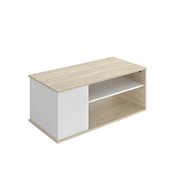 Pegane Table d'appoint Table basse avec plateau relevable et 2 compartiments