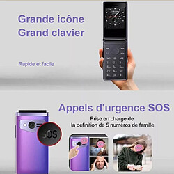 Acheter HAMTOD T8 4G Téléphone Portable Senior à Clapet Bleu