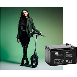 Acheter DSK - Batterie plomb-acide AGM scellée et rechargeable 12V 12Ah