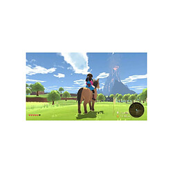 Just for games Jeu vidéo Harvest Moon: The Winds of Anthos Complete Edition pas cher