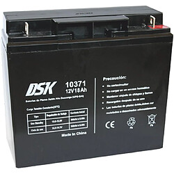 DSK - Batterie plomb-acide AGM scellée et rechargeable 12V 18Ah pour UPS-SAI