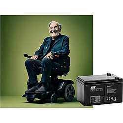 Acheter DSK - Batterie AGM plomb-acide rechargeable 12V 2,9Ah