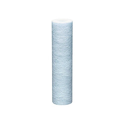 Acheter Bwt Cartouche bactériostatique Arctic - 20 µm - 3/4?