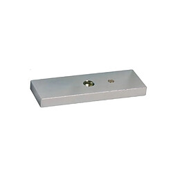 SEWOSY APEF550 - Platine de contrepartie 185 mm - Argent