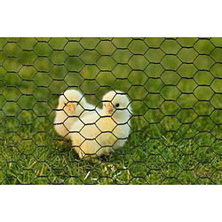 Grillage hexagonal galvanisé - NATUREL - 0,5 x 3 m - 13 mm d'épaisseur - Vert