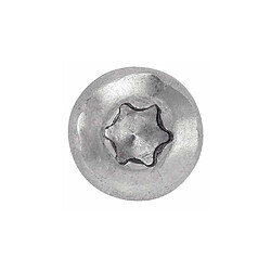 Avis ACTON 623183X20 - Inox A2 - 3,5 x 100