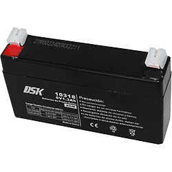 DSK - Batterie AGM plomb-acide scellée et rechargeable 6V 1,2Ah