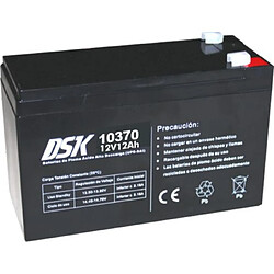 DSK - Batterie plomb-acide AGM scellée et rechargeable 12V 12Ah