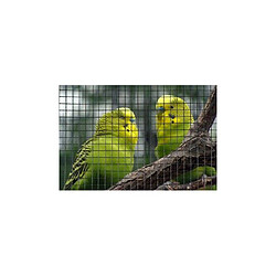 Grillage à mailles carrées - NATUREL - 0,5 x 3 m - Épaisseur 6,4 mm - Vert