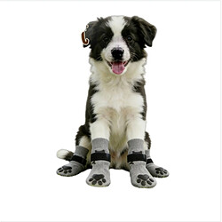 Acheter INF Chaussettes Antidérapantes pour Chien avec Adhésif Double Face - Protection des Pattes & S