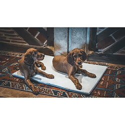 Avis Coussin pour chien - AIME - Tapis plat - Taille L - 80 x 60 x 3 cm