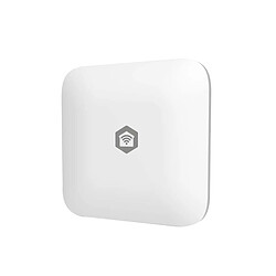 Nedis Capteur Fuites d'Eau Connecté Zigbee Étanche IP66 Compatible Android et iOS Blanc