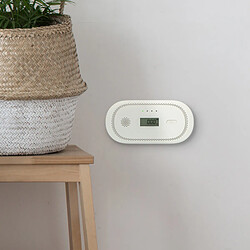 Acheter Alecto Détecteur Monoxyde Carbone avec Écran LCD Alarme 85 dB Puissant Blanc