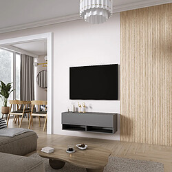 3XELIVING Meuble TV : Anthracite, 100 × 32 × 34 cm