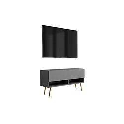3XELIVING Meuble TV : Anthracite, pieds obliques dorés, 100 × 32 × 52 cm