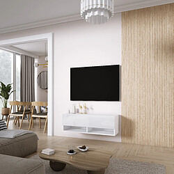 3XELIVING Meuble TV : Blanc Mat / Blanc Brillant, 100 × 32 × 34 cm