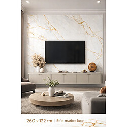 Avis PROTOCOLE HOME Panneau mural PVC effet MARBRE LUNA GOLD 122x260 cm